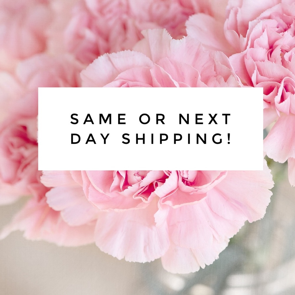 Same Or Next Day Shipping